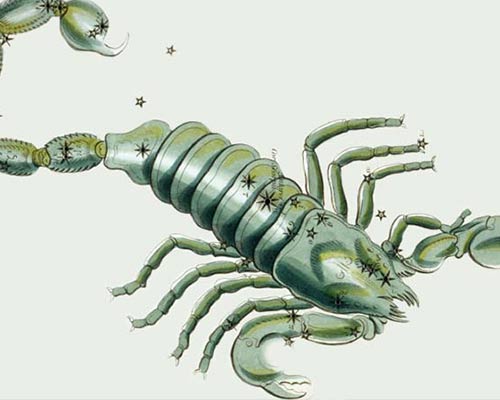 Scorpius