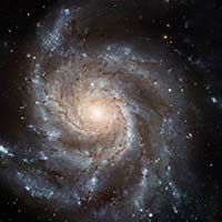 M101