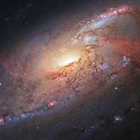 M106