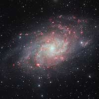 M33