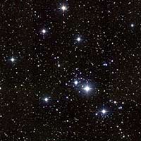 M41