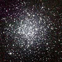 M55