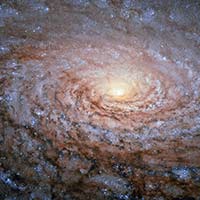 M63