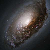 M64