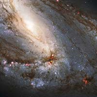 M66