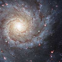 M74