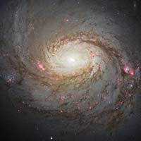 M77