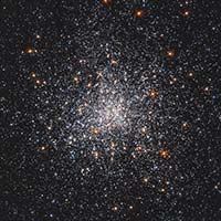 M79