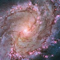 M83