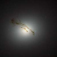 M84