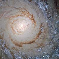 M94